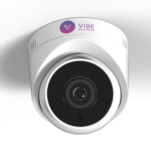 IP Dome Camera