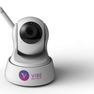 IP Pan Tilt Camera
